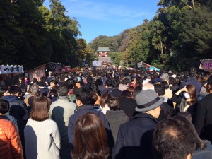 少し遅くなりましたが・・・